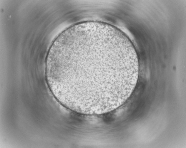 X0000088130807200705291331