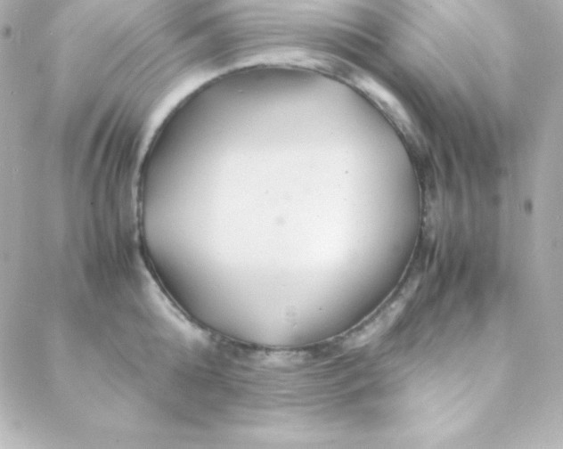 X0000088130808200705291331