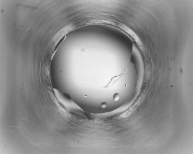 X0000088130809200705291331