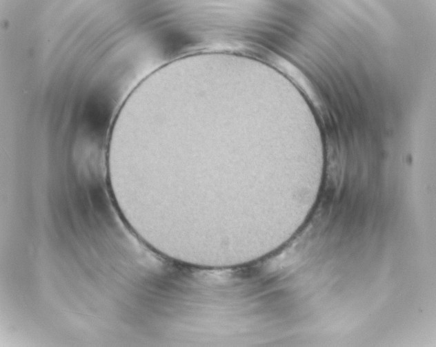 X0000088130810200705291331