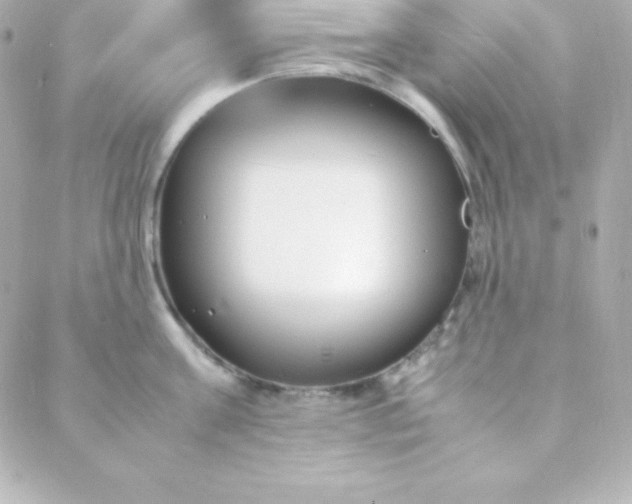 X0000088130811200705291331