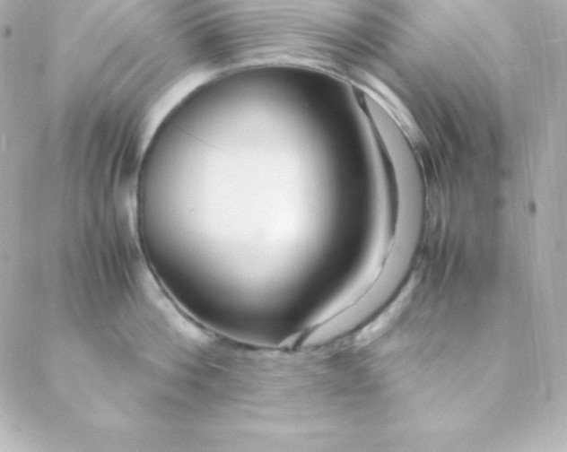 X0000088130812200705291331