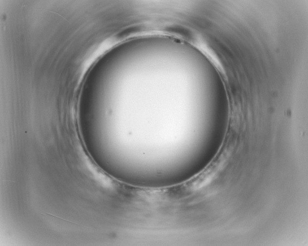 X0000088130813200705291331