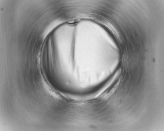 X0000088130814200705291331