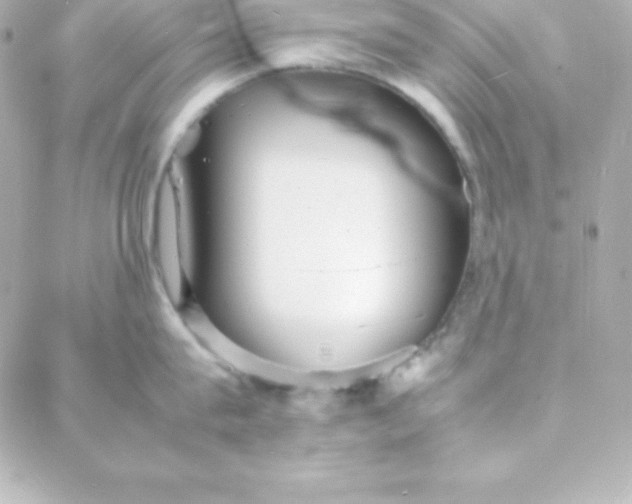 X0000088130815200705291331