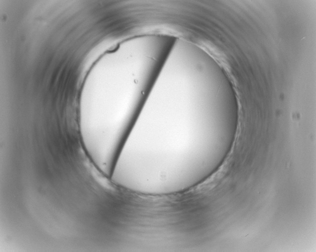 X0000088130816200705291331