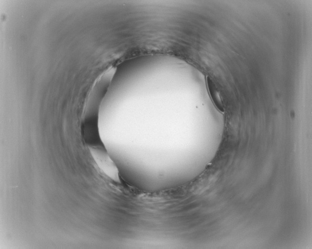 X0000088130817200705291330