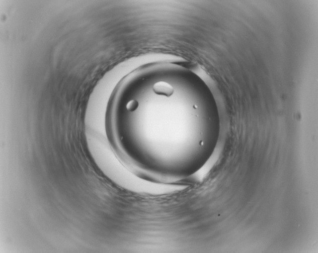 X0000088130818200705291330