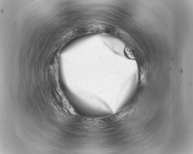 X0000088130819200705291330