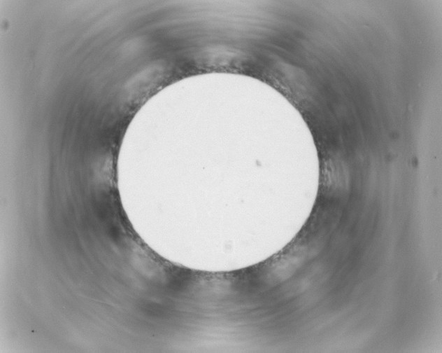 X0000088130820200705291330