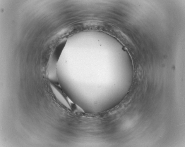 X0000088130821200705291330