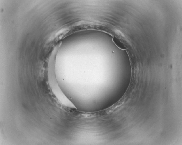 X0000088130822200705291330