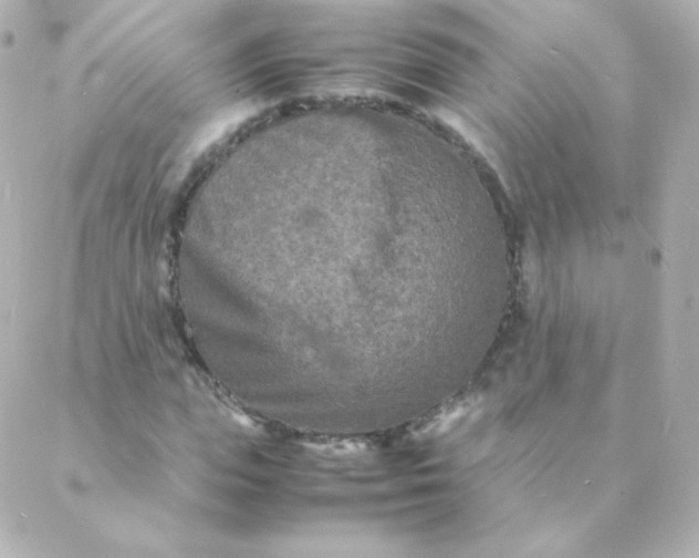 X0000088130823200705291330