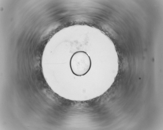 X0000088130824200705291330