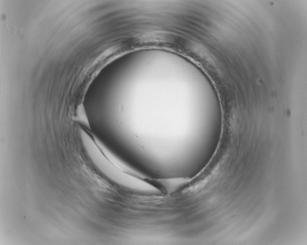 X0000088130825200705291331