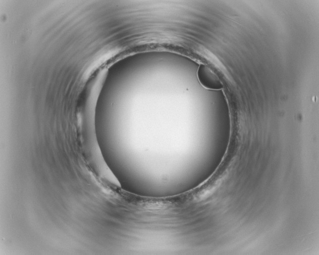 X0000088130826200705291331