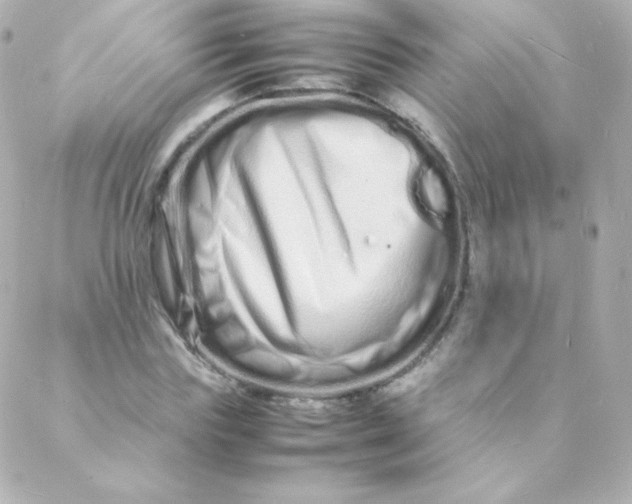 X0000088130827200705291331