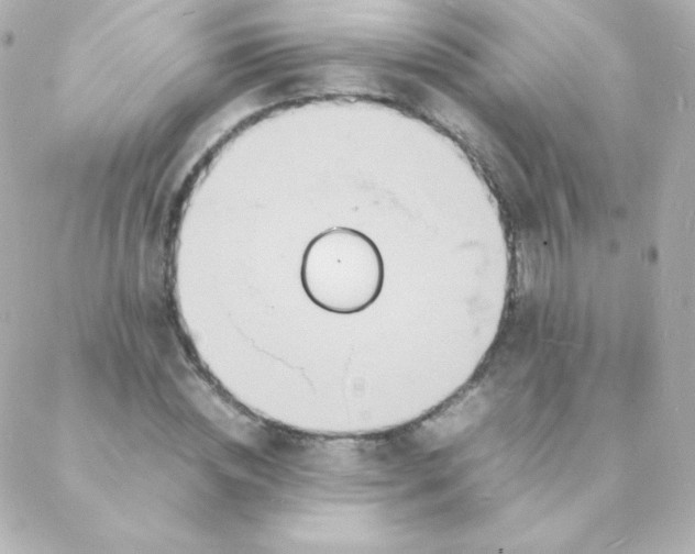 X0000088130828200705291331