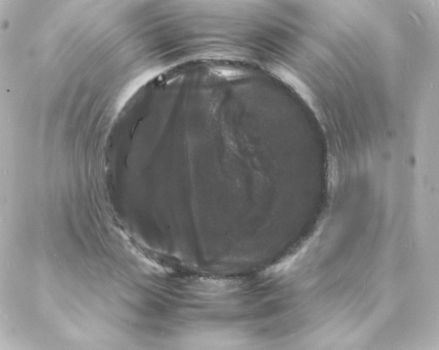 X0000088130829200705291331