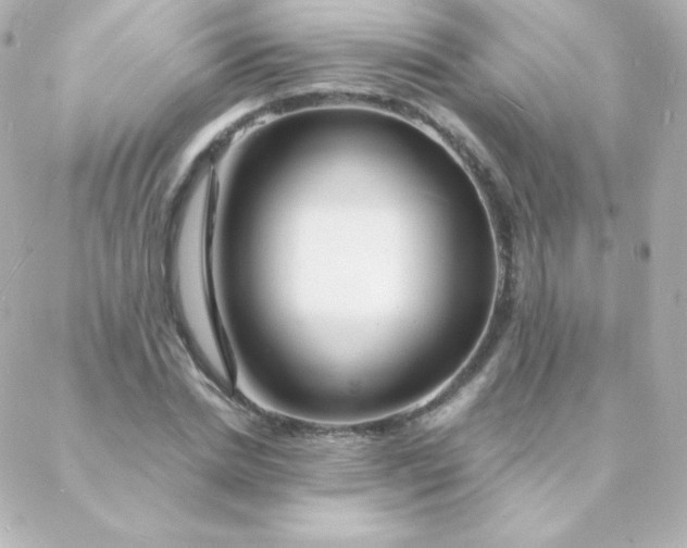 X0000088130830200705291331