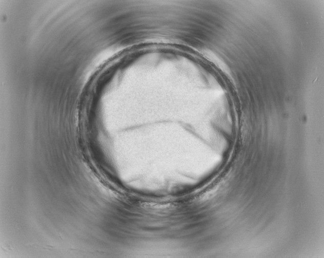 X0000088130831200705291331