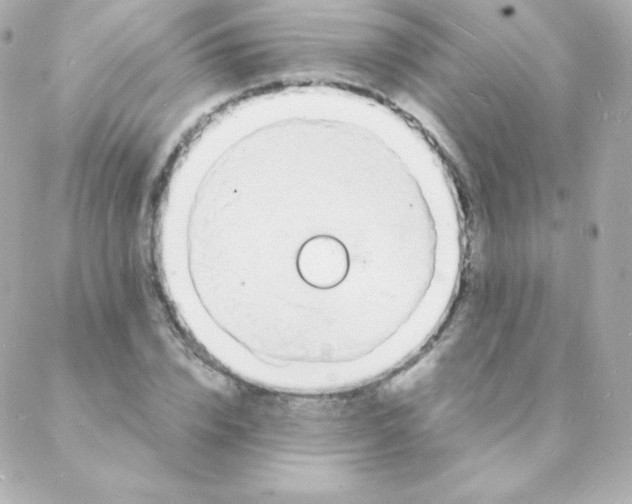 X0000088130832200705291331