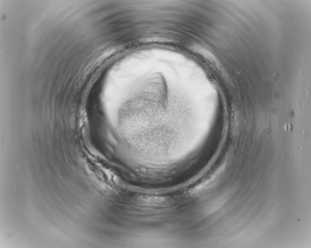 X0000088130833200705291331