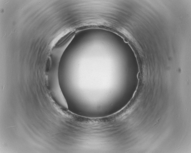 X0000088130834200705291331