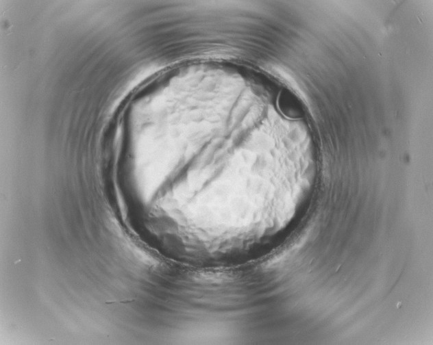 X0000088130835200705291331