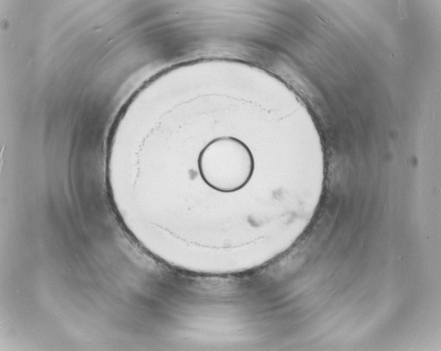 X0000088130836200705291331