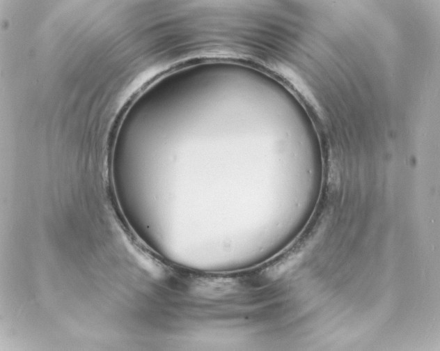 X0000088130837200705291331