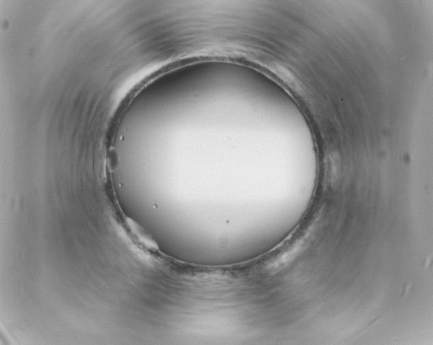 X0000088130838200705291331