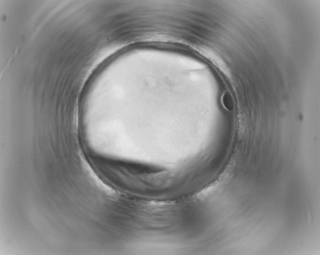 X0000088130839200705291331