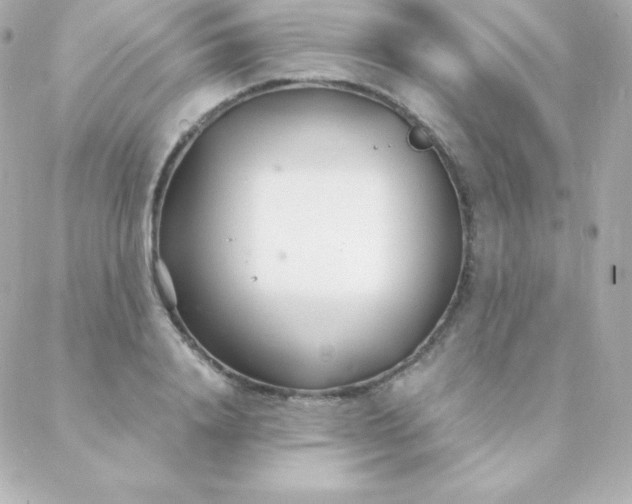 X0000088130840200705291331