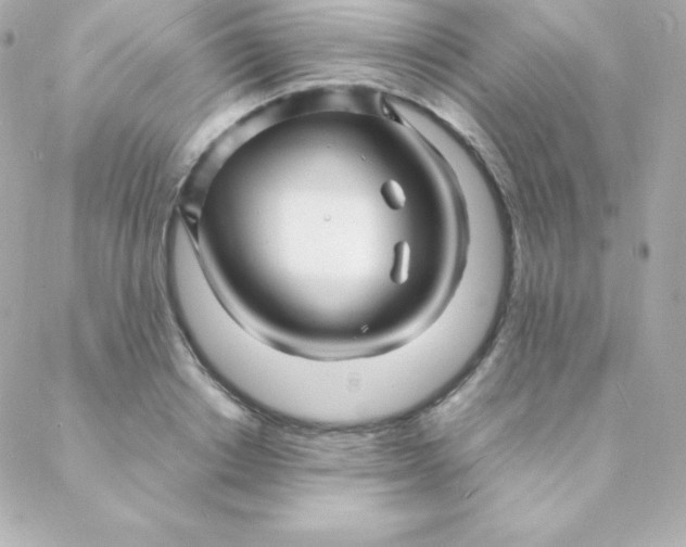 X0000088130842200705291331