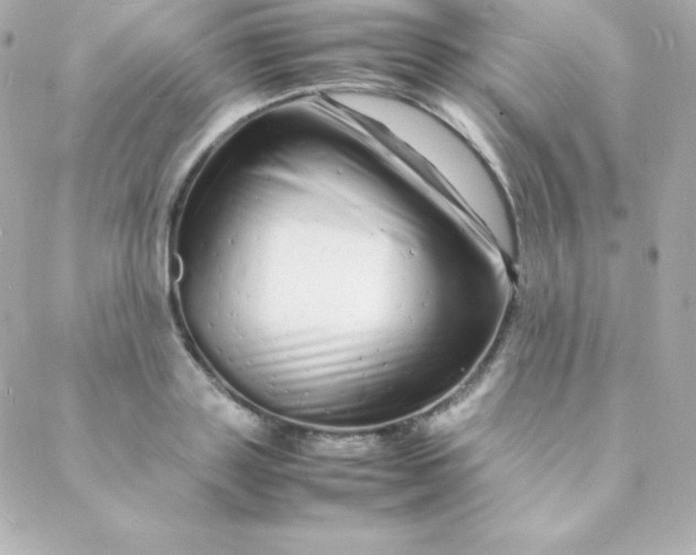 X0000088130843200705291331