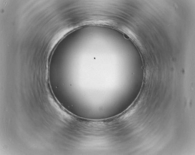 X0000088130844200705291331