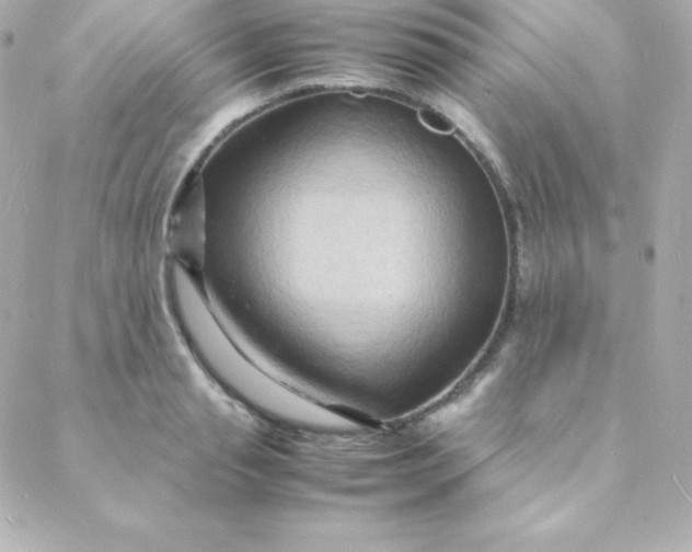 X0000088130845200705291331