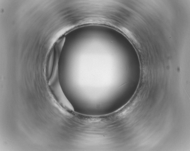 X0000088130846200705291331