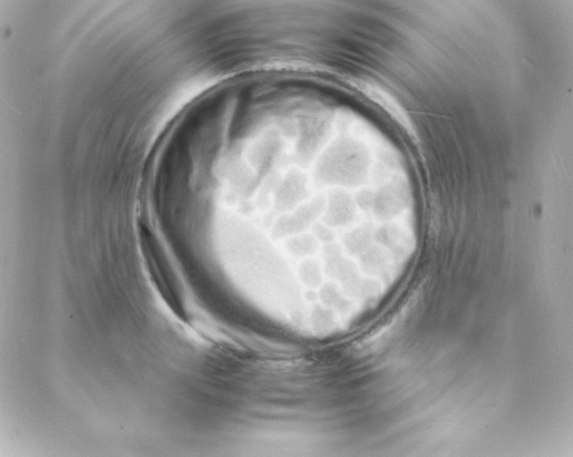 X0000088130847200705291331