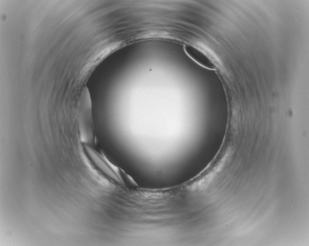 X0000088130849200705291331