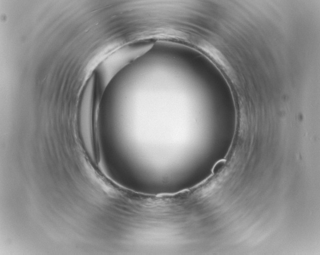 X0000088130850200705291331