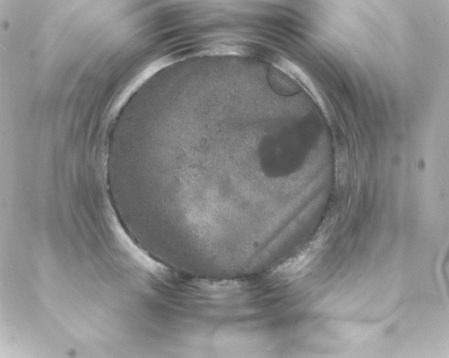 X0000088130851200705291331