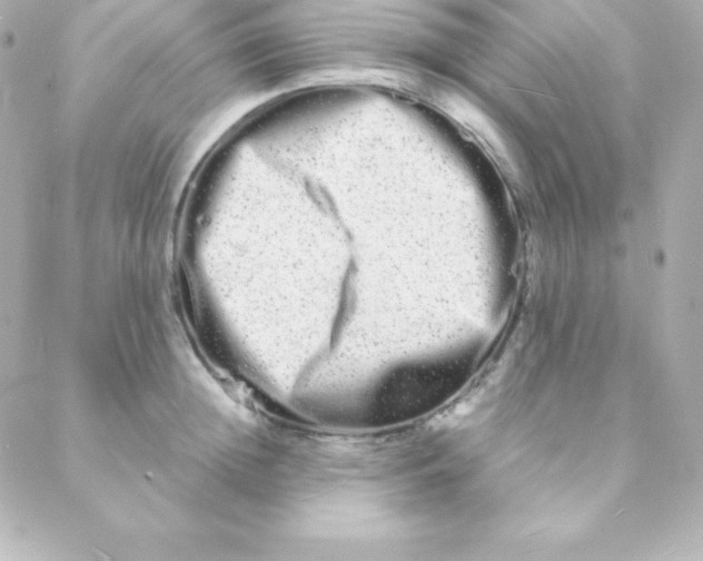 X0000088130852200705291331