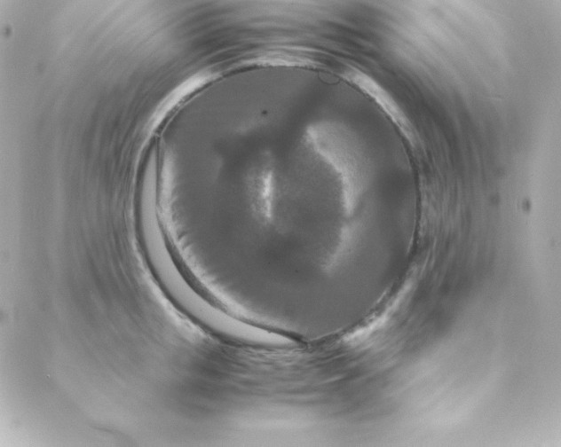 X0000088130853200705291331