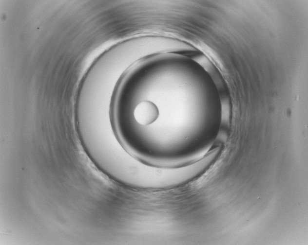 X0000088130854200705291331