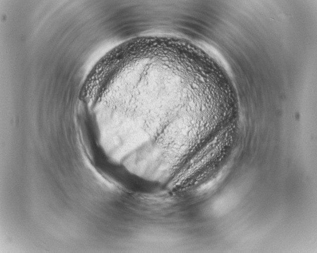 X0000088130855200705291331