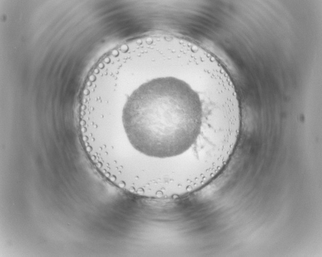 X0000088130856200705291331