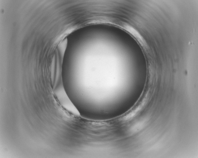 X0000088130857200705291331