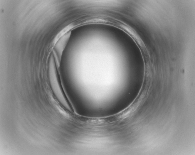 X0000088130858200705291331